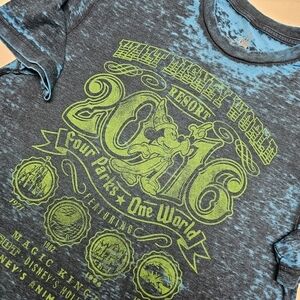 Disney Parks Mens Walt Disney‎ World 2016 Burnout Graphic T-Shirt Blue Size M